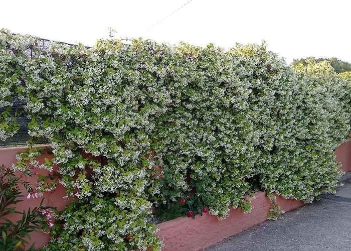 Casa Vacanze Mimose
