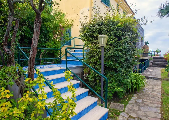 Roberto'S Garden
