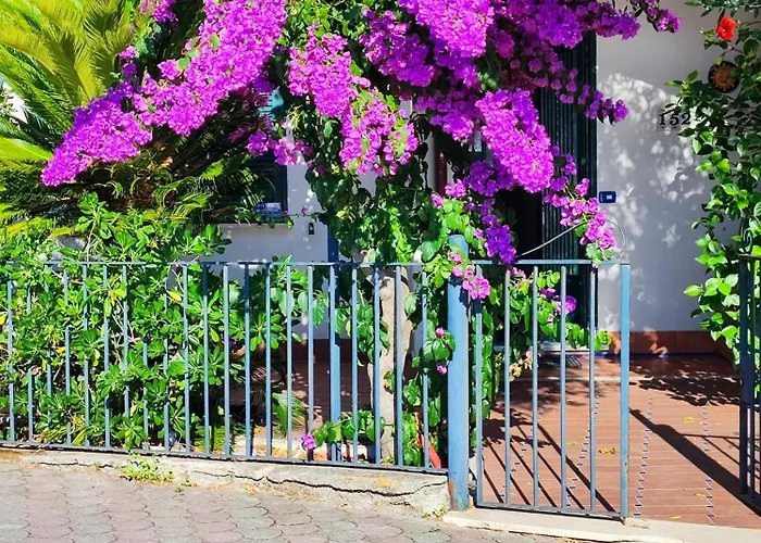 La Bouganville